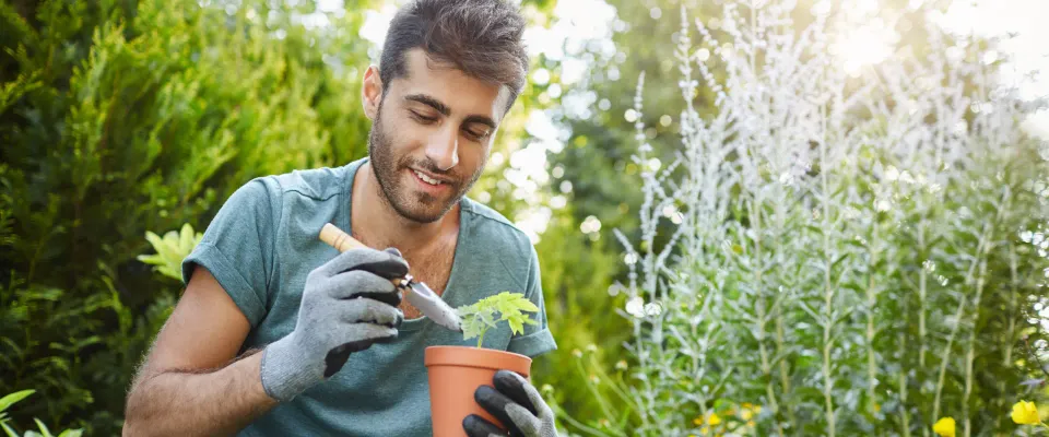 ¿Amas tus plantas pero no sabes cómo cuidarlas? Consejos para tener el mejor jardín de tu barrio